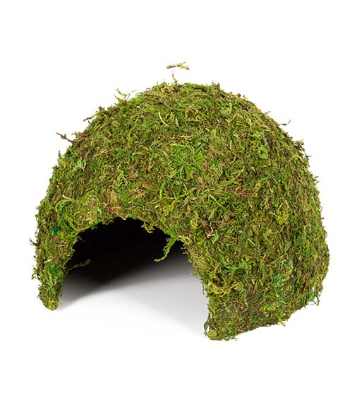 ERS25 Natural Moss Dome