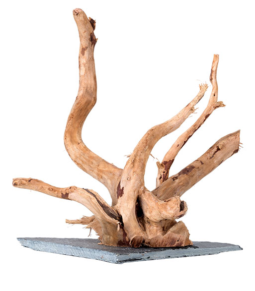 REPTIZOO DR01 Figner Root With Base