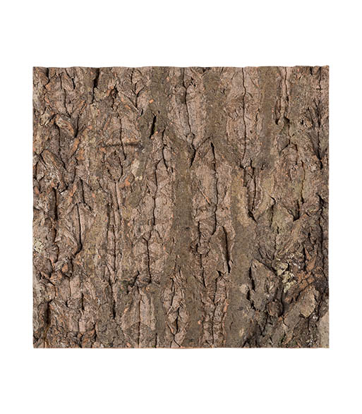 REPTIZOO NCT Series Natural Cork Tile Background