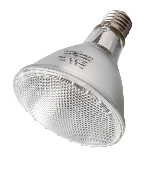 PAR Series UVA Daytime Heating Lamp - spotlight